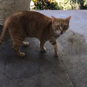 Meet your Posher, Tracy